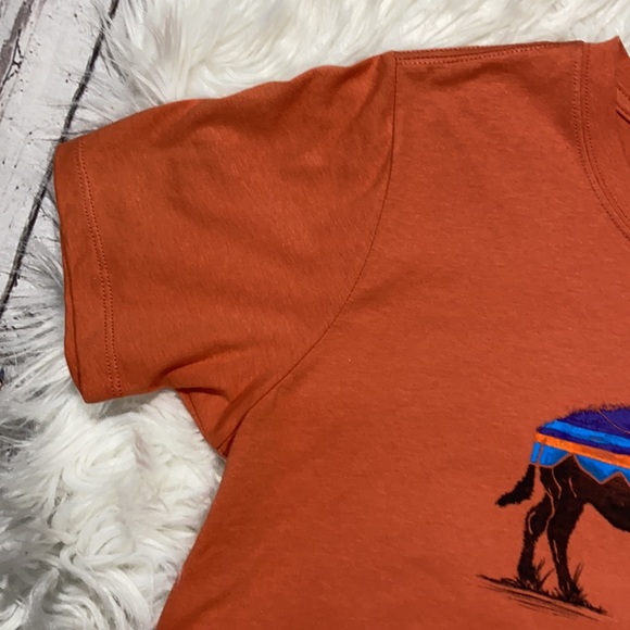 SOLD! Patagonia Buffalo Graphic Orange Short Sleev - Picture 3 of 5